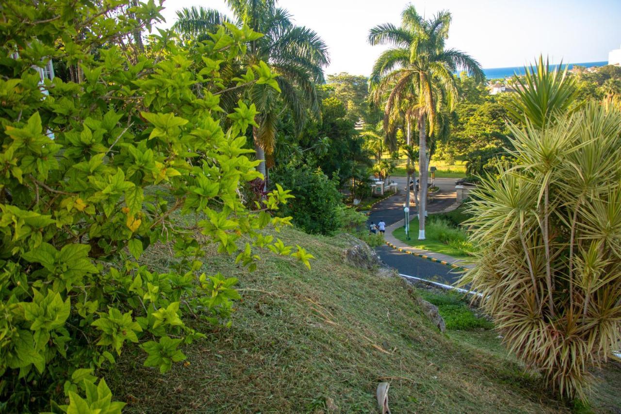 E 20 Mystic Ridge Ocho Rios Exterior foto