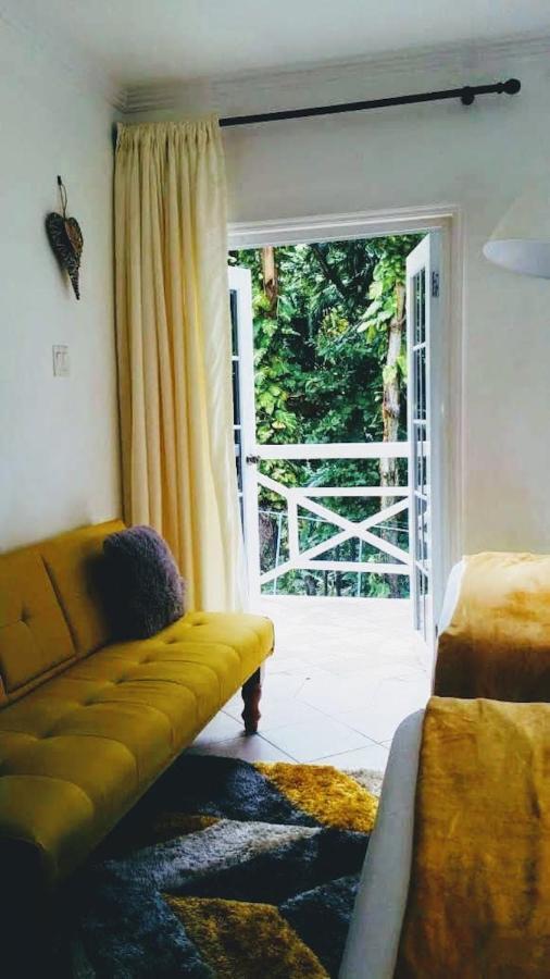 E 20 Mystic Ridge Ocho Rios Exterior foto